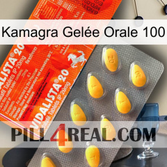 Kamagra Gelée Orale 100 new01